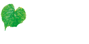Aninka Environment Oy:n logo
